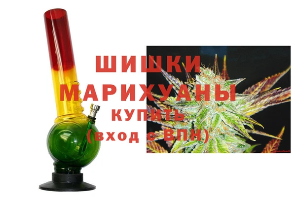 шишки Аркадак