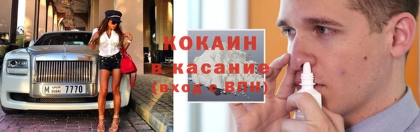 шишки Аркадак