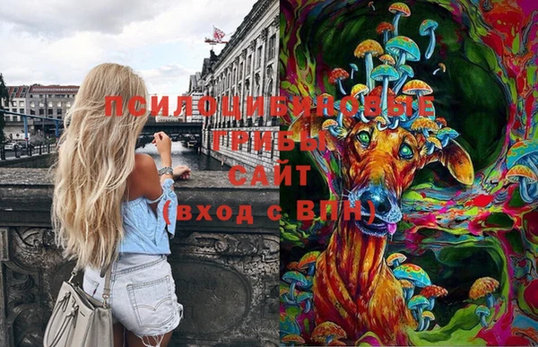 шишки Аркадак