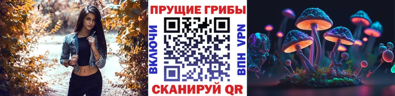 где купить наркотик  Данков  блэк спрут маркетплейс  Галлюциногенные грибы MAGIC MUSHROOMS 